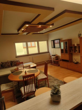 Fast Apartment in the centrum with FREE private parking